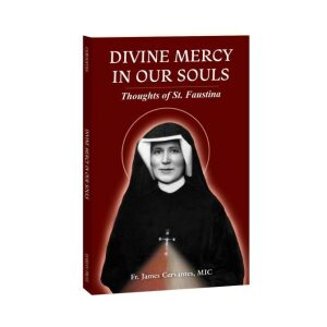 Divine Mercy In Our Souls: Thoughts Of St Faustina