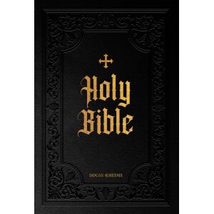 Douay-Rheims Bible Large Print