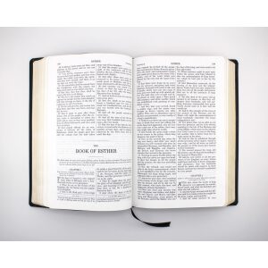 Douay-Rheims Bible