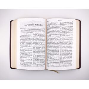 Douay-Rheims Bible