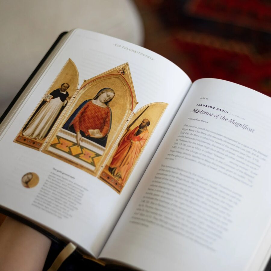Word on Fire Bible (Volume V) Exile and Return - Image 3