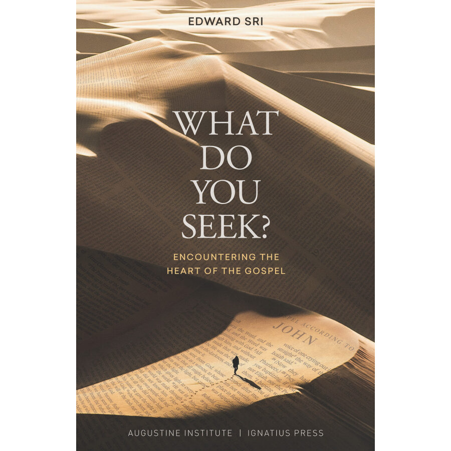 What Do You Seek?